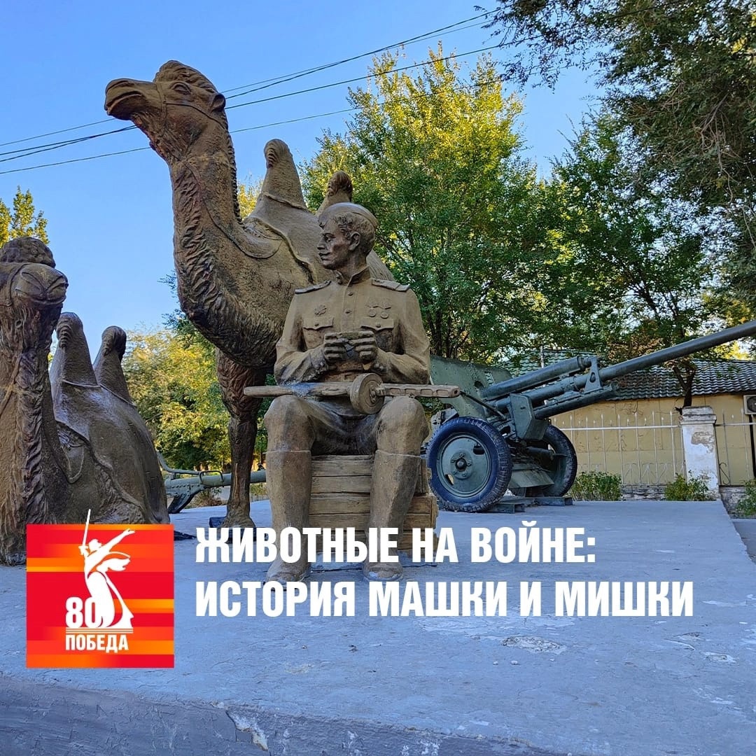 zyUOMb7s7Is.jpg